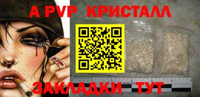 крисы Будённовск