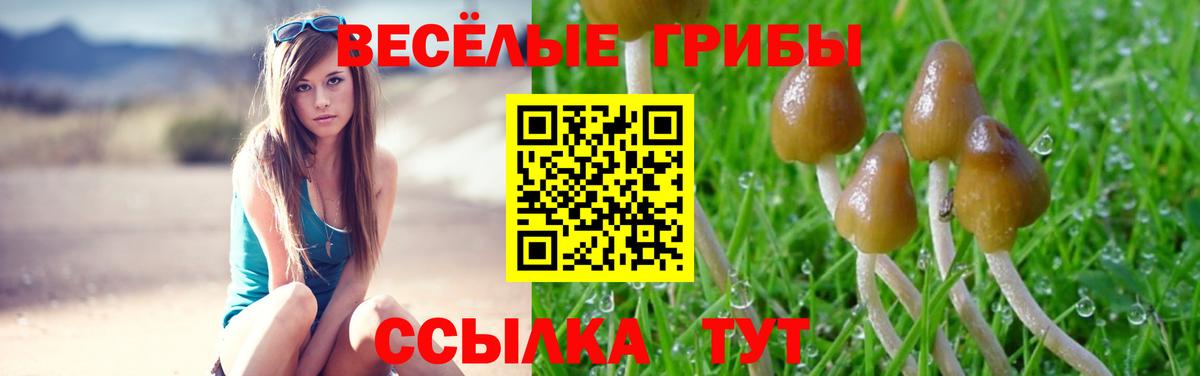 Красноярск  Псилоцибиновые грибы мицелий  Вход с VPN  Псилоцибиновые грибы Cubensis 